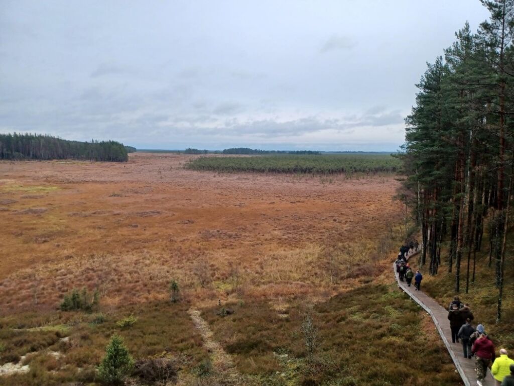 Laaja suoalue ja mäntymetsää. Kuvan reunassa pitkospuut joissa kulkee opiskelijoita